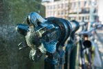 Brugleuningornament.
<br/>
Marcel Westhoff, januari 2016